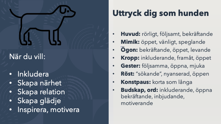 Hund 2