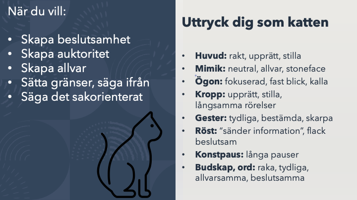 Katt